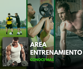 Area de Entrenamiento