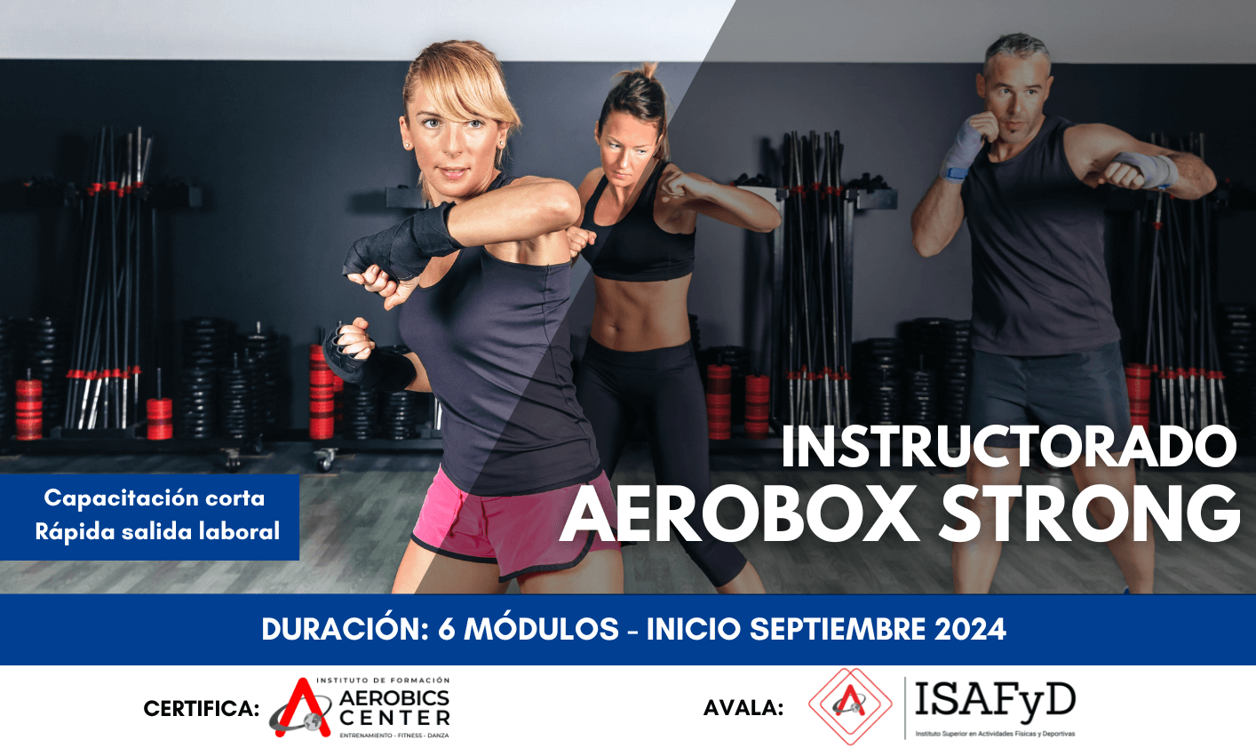 Instructorado en Aerobox Strong